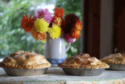 Pies (photo by Rebekah Denn)