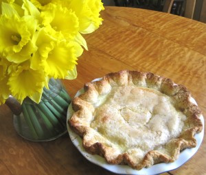 Pi Day 2011 Shaker Lemon Pie copy