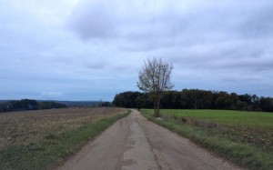 The road...