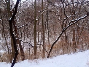 20131222-100804.jpg