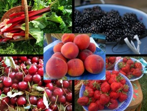 Seasonal Fruit