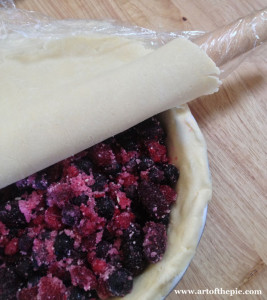 Art of the Pie Gluten Free Dough