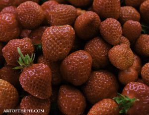 20140624_2706strawberries_watermark_web