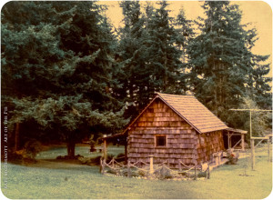 cabin