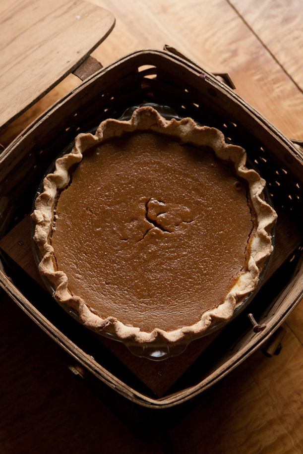 Pumpkin Pie by Stephen Gross