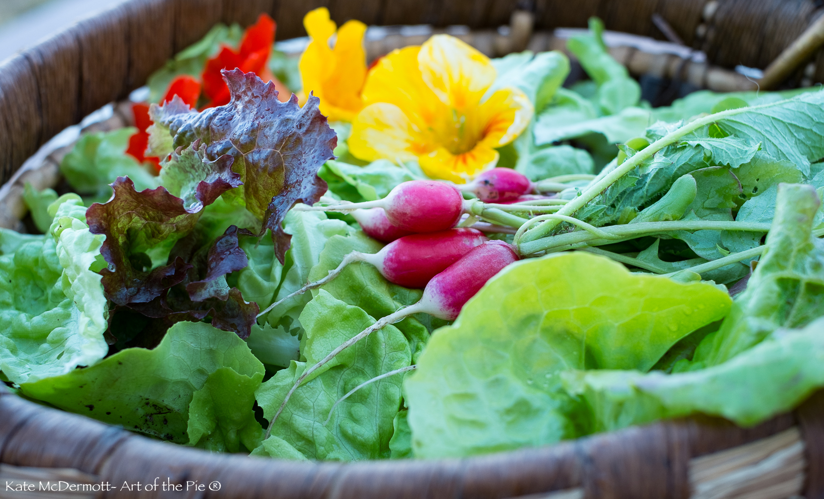 a-favorite-salad-dressing-art-of-the-pie