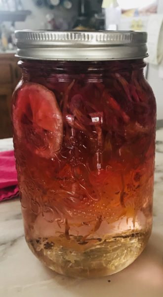Making Honeysuckle Cordial